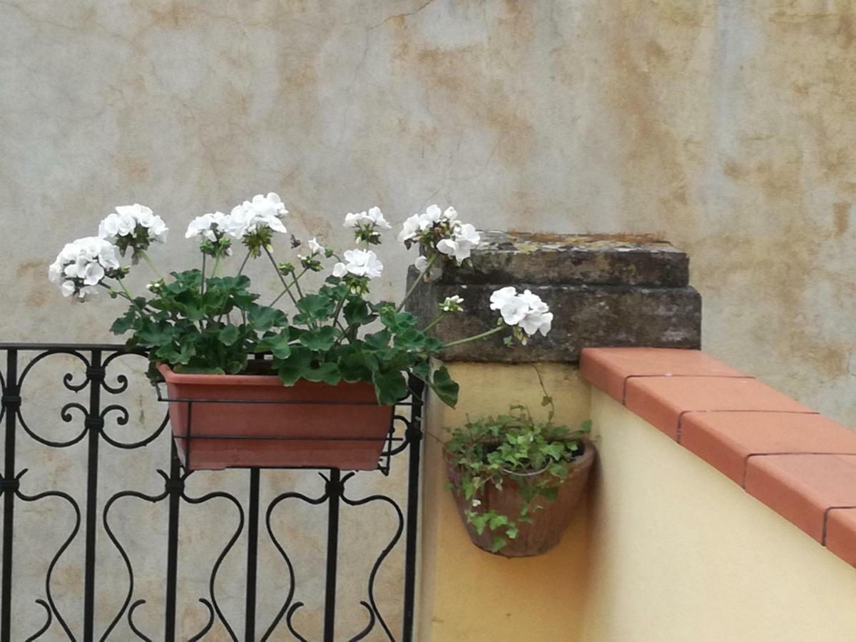 Pietrarosa Apartment Lucca Exterior photo